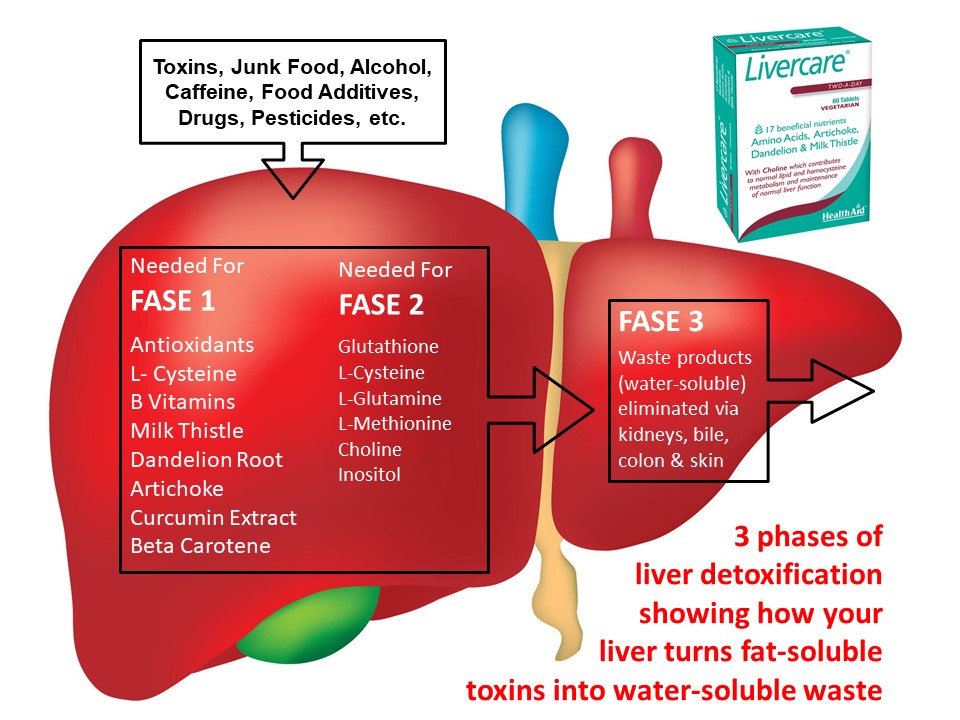 liver detoxification pathways and support nutrients