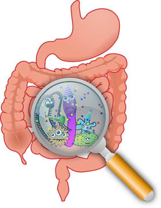 Should I Take Probiotics on an Empty Stomach, Between Meals or With Meals?