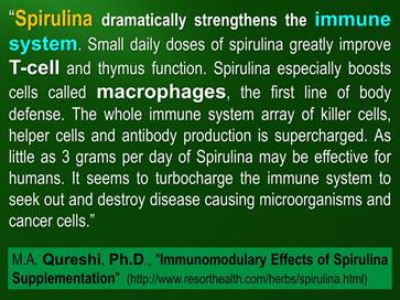 supplements-to-support-weak-immune-system